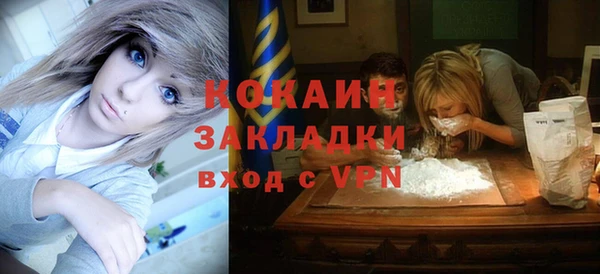 шишки Вяземский