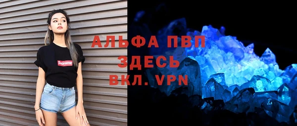 шишки Вяземский