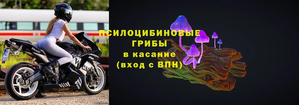 хмурый Вязники