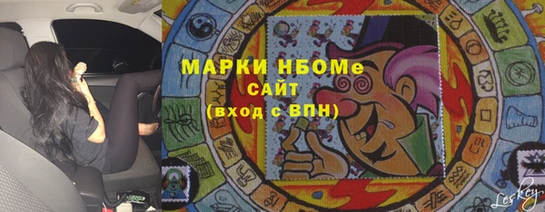 шишки Вяземский