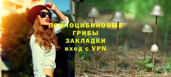 шишки Вяземский