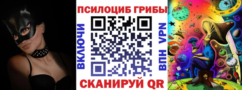 Псилоцибиновые грибы ЛСД  блэк спрут маркетплейс  Ставрополь  где купить наркоту 